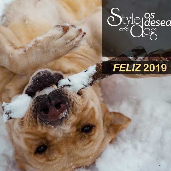 Feliz 2019
