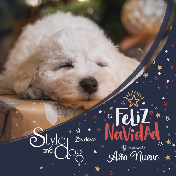 ¡Felices Fiestas!