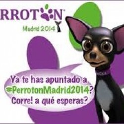 perrotón 2014, carrera solidaria por la adopción y tenencia responsable de animales