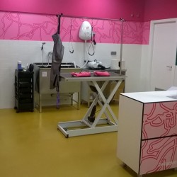 Style and Dog, nuevo distribuidor de peluquería canina para Tiendanimal 