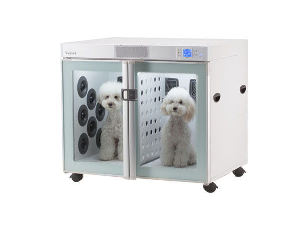 Secadores para perros venta best sale